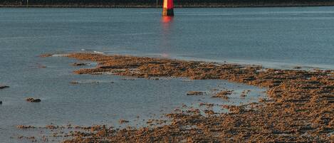 Escena costera con un faro, costa rocosa y edificios al fondo.