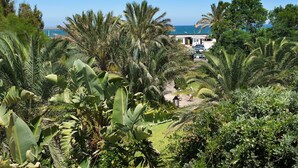 A tropical resort with lush greenery, a pathway leading to a building, and a view of the sea.