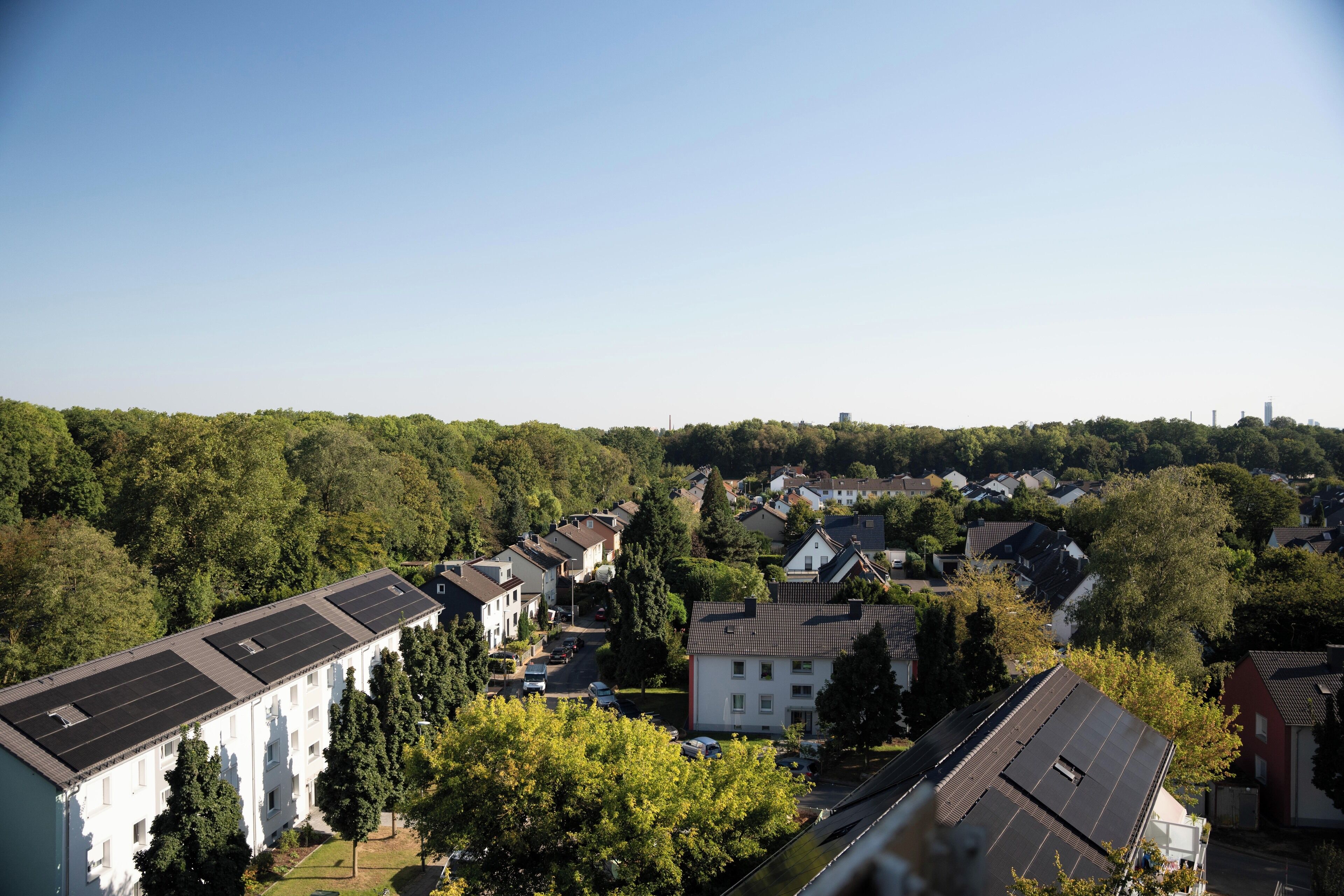 Photo - Hotel Friends