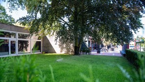 Un patio con un árbol grande, un edificio con amplios ventanales y una zona pavimentada con mobiliario exterior.