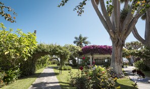 Property grounds - Miramar Hotel (Puerto de la Cruz)