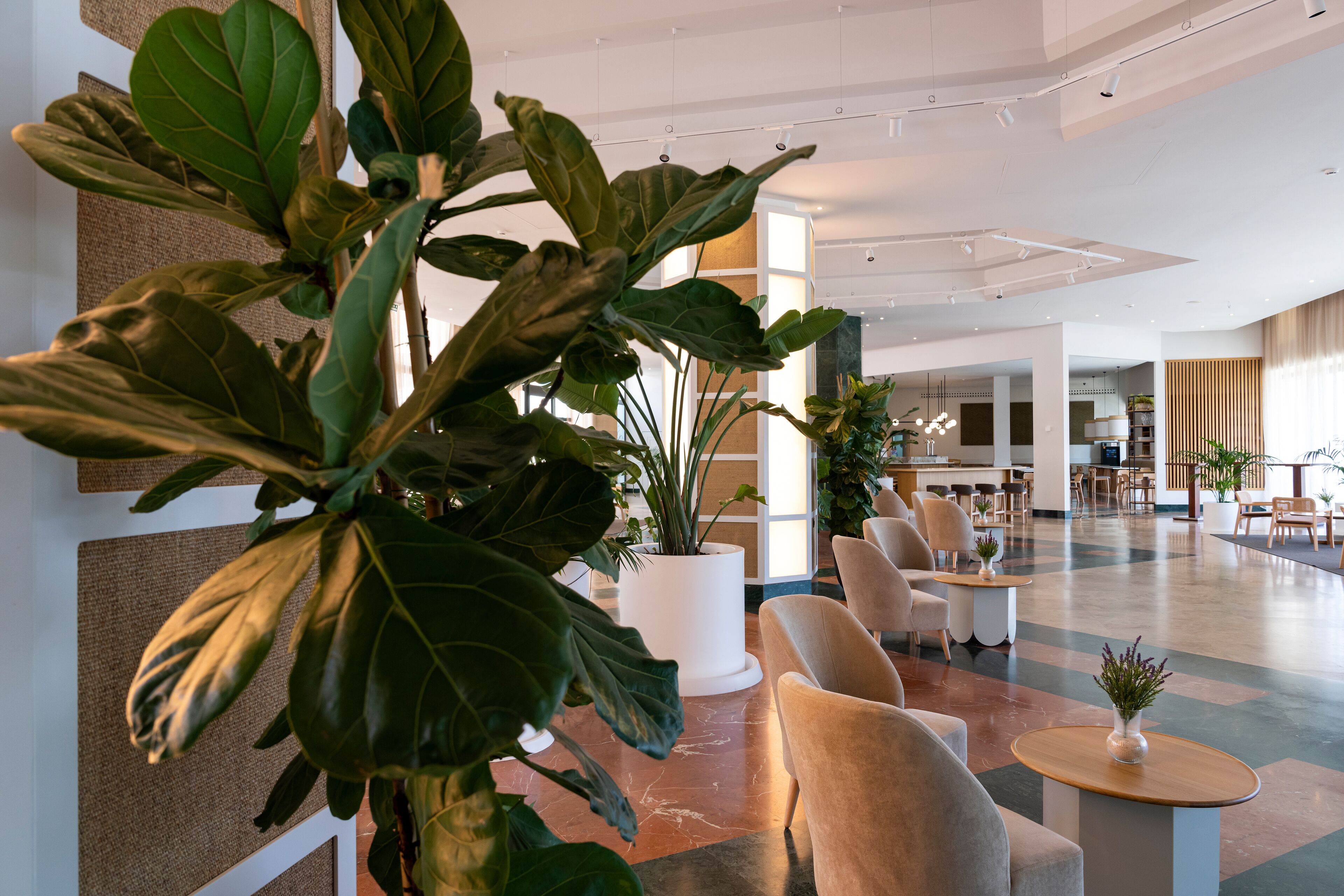 A spacious lobby with large potted plants, comfortable seating, and a modern design.