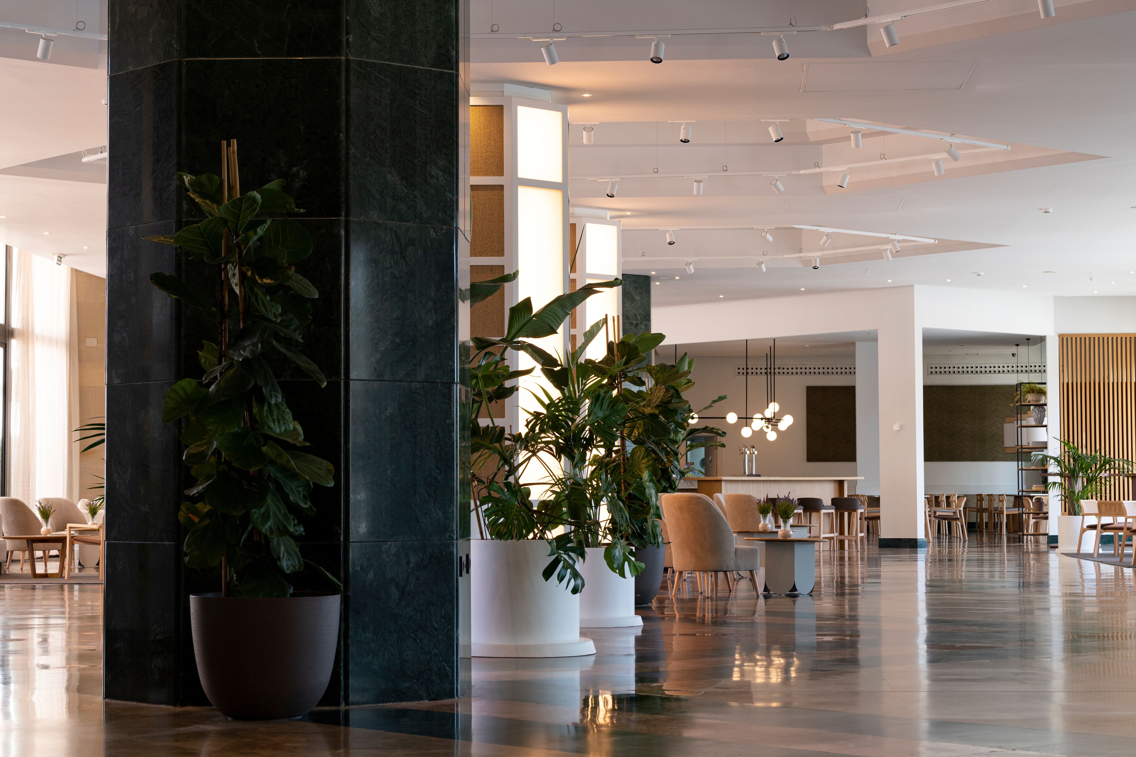 Un hall d’entrée spacieux, agrémenté de grands pots de plantes, de meubles modernes et d’un sol en marbre poli.