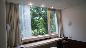 Standard Single Room | View from room