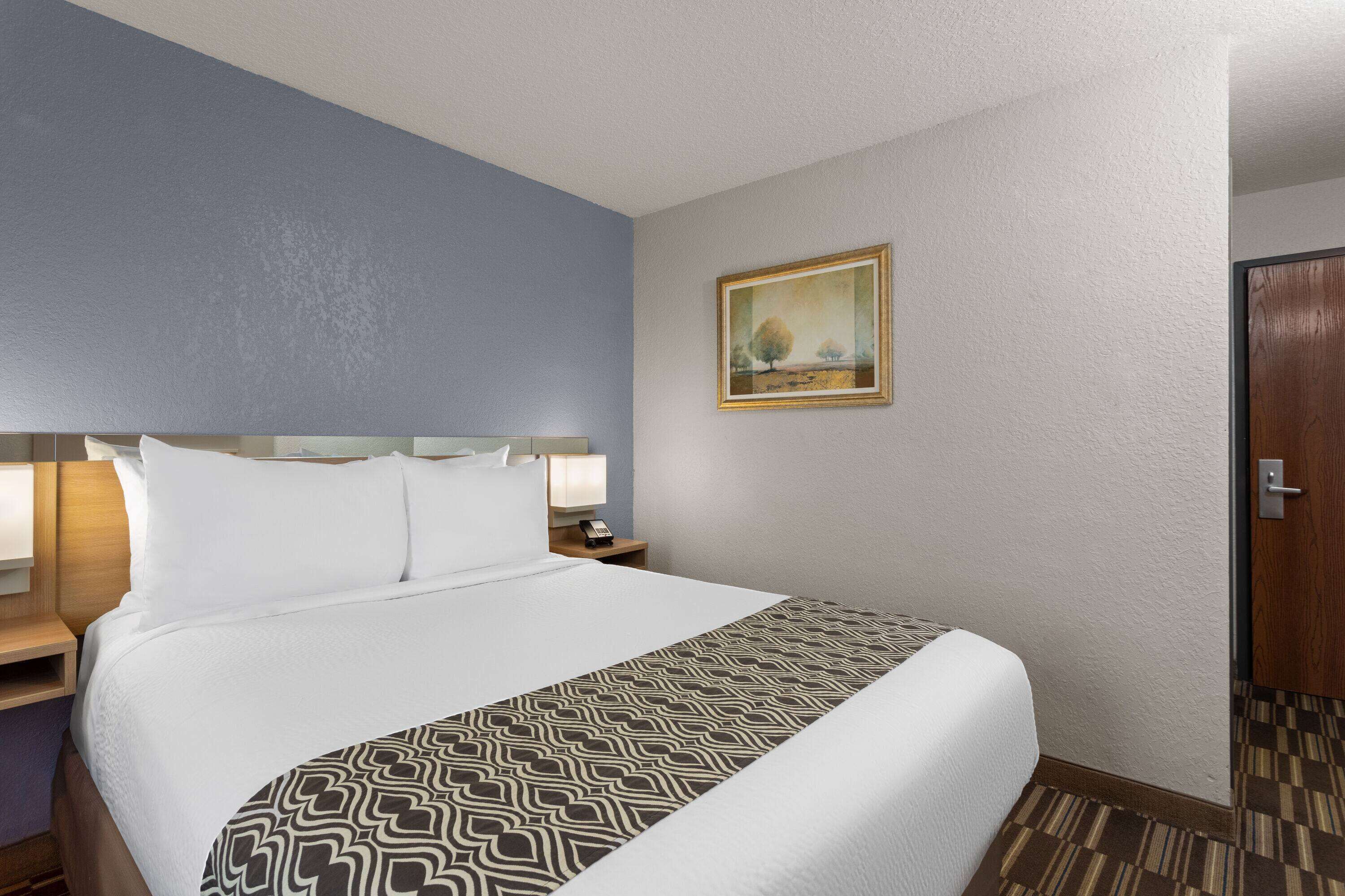 Habitación de hotel con una cama grande, una mesita de noche con lámpara, un cuadro en la pared y una puerta.