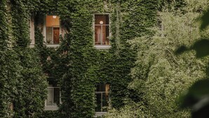 Un edificio cubierto parcialmente de hiedra.