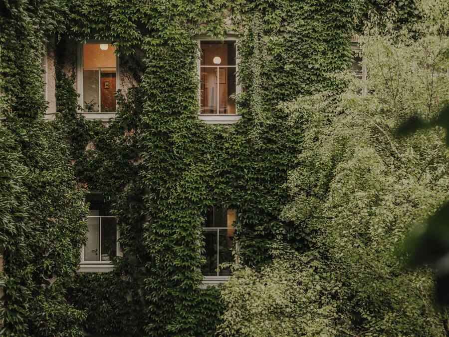 A building partially covered with ivy.