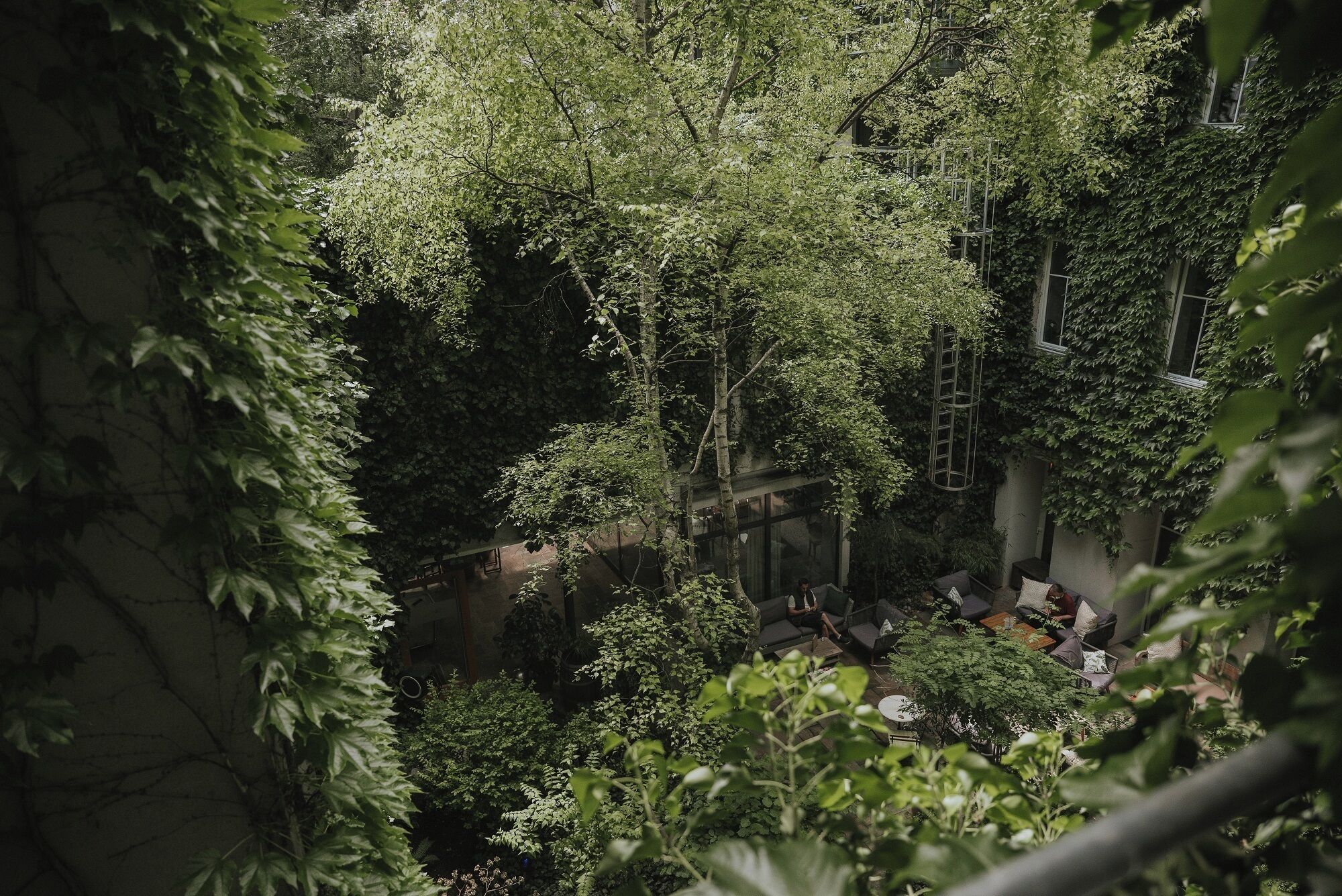 部屋からの景観