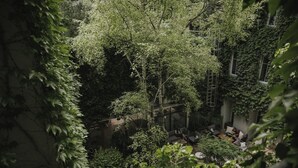 Un exuberante jardín interior con follaje denso, un banco de madera y una escalera que lleva a una ventana.