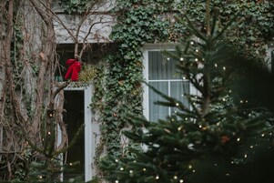 Um edifício com paredes cobertas de hera e uma janela decorada com um laço vermelho.