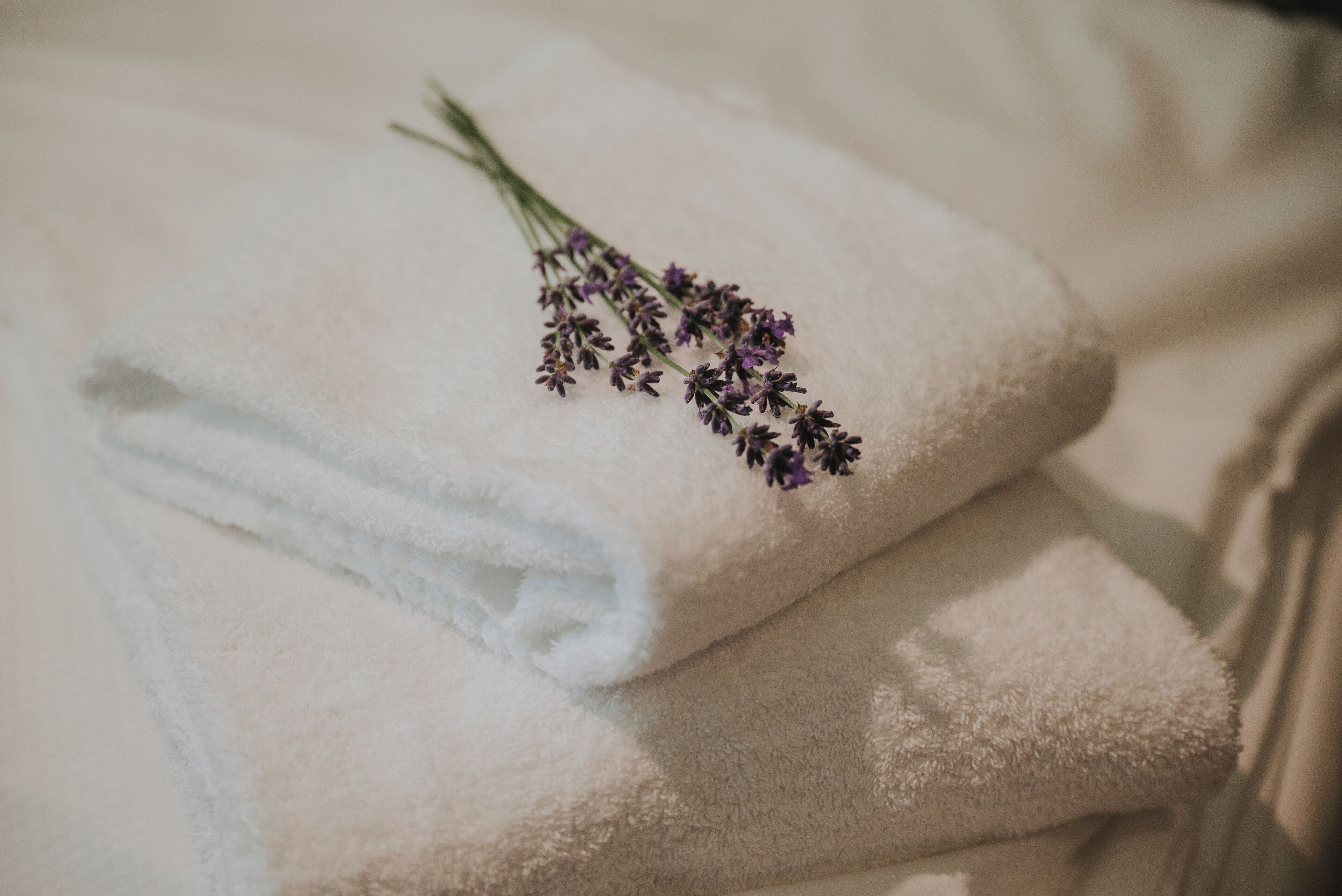 comfort triple room, garden view | room amenity