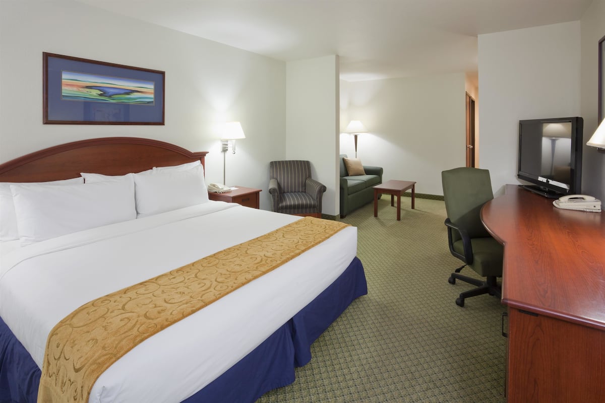 Suite, 1 King Bed with Sofa bed, Non Smoking | Premium bedding, in-room safe, desk, laptop workspace