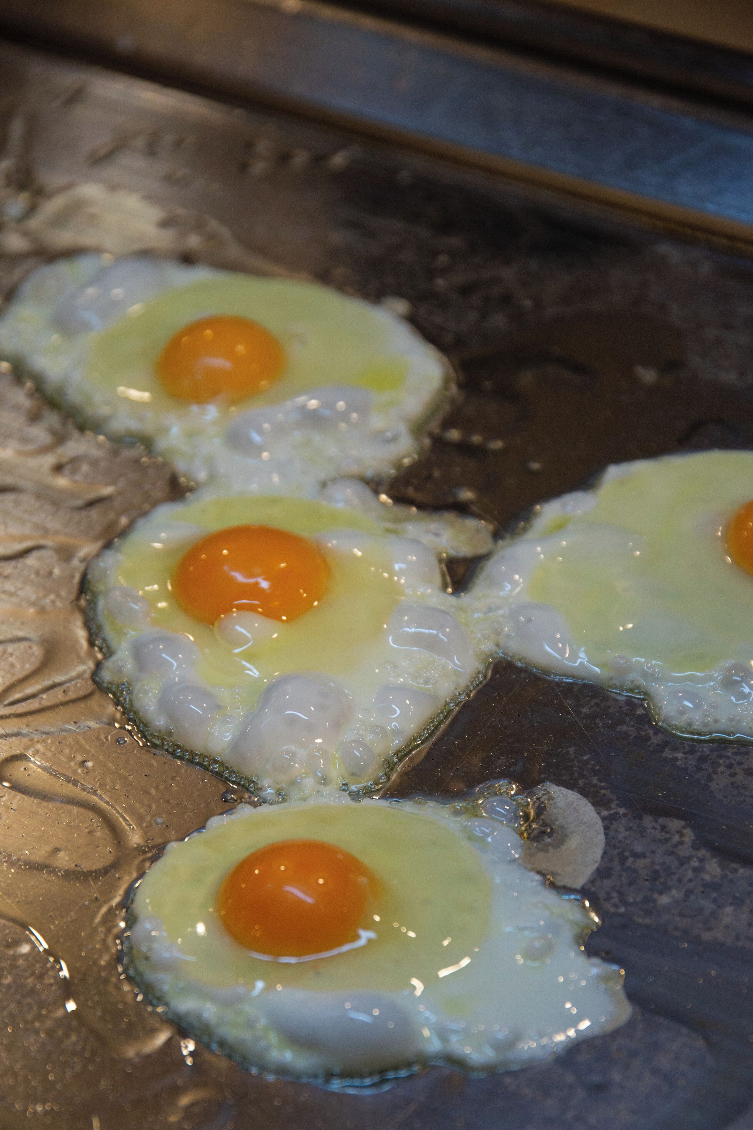 Cuatro huevos fritos sobre una superficie metálica.
