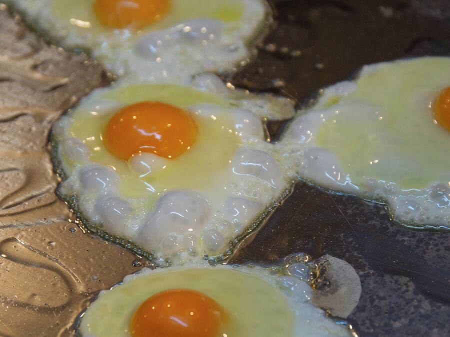 Cuatro huevos fritos sobre una superficie metálica.
