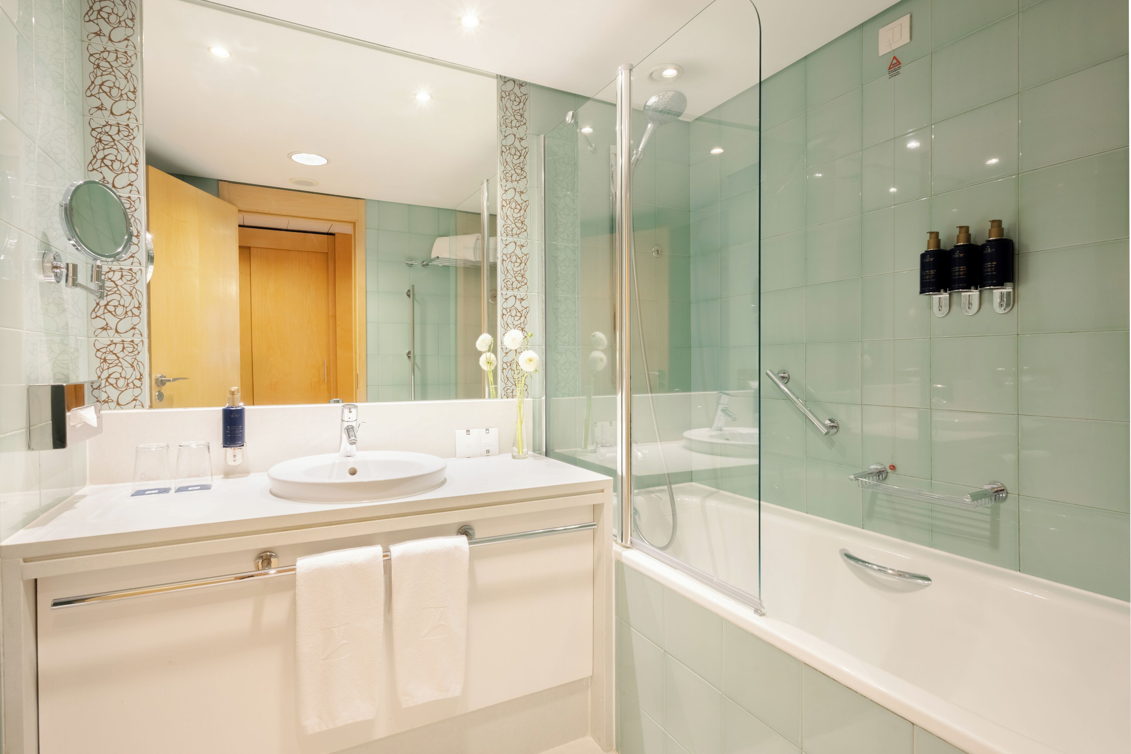 combined shower/bathtub, free toiletries, hair dryer, towels