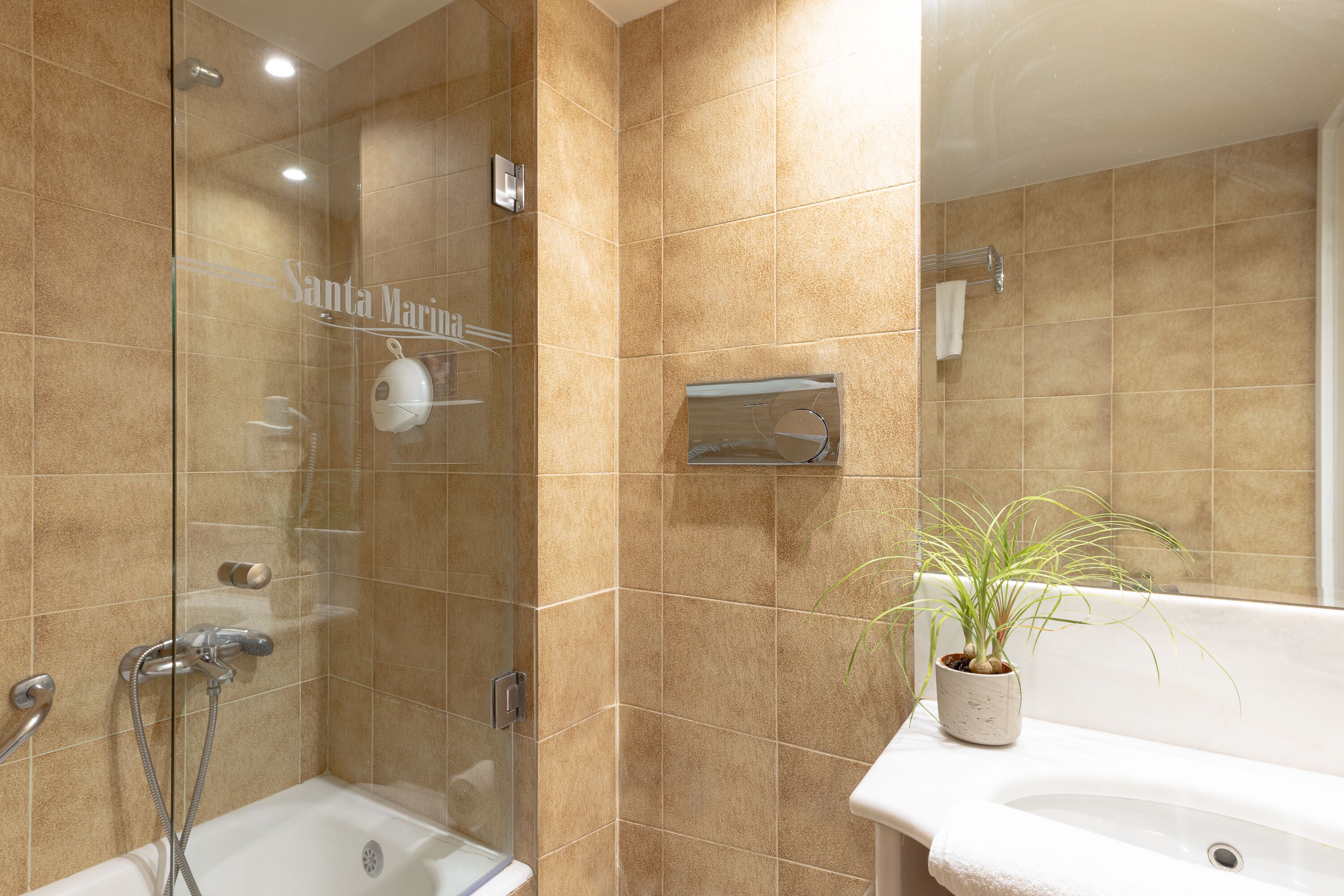A modern bathroom with a glass-enclosed shower, a white sink, and a potted plant.