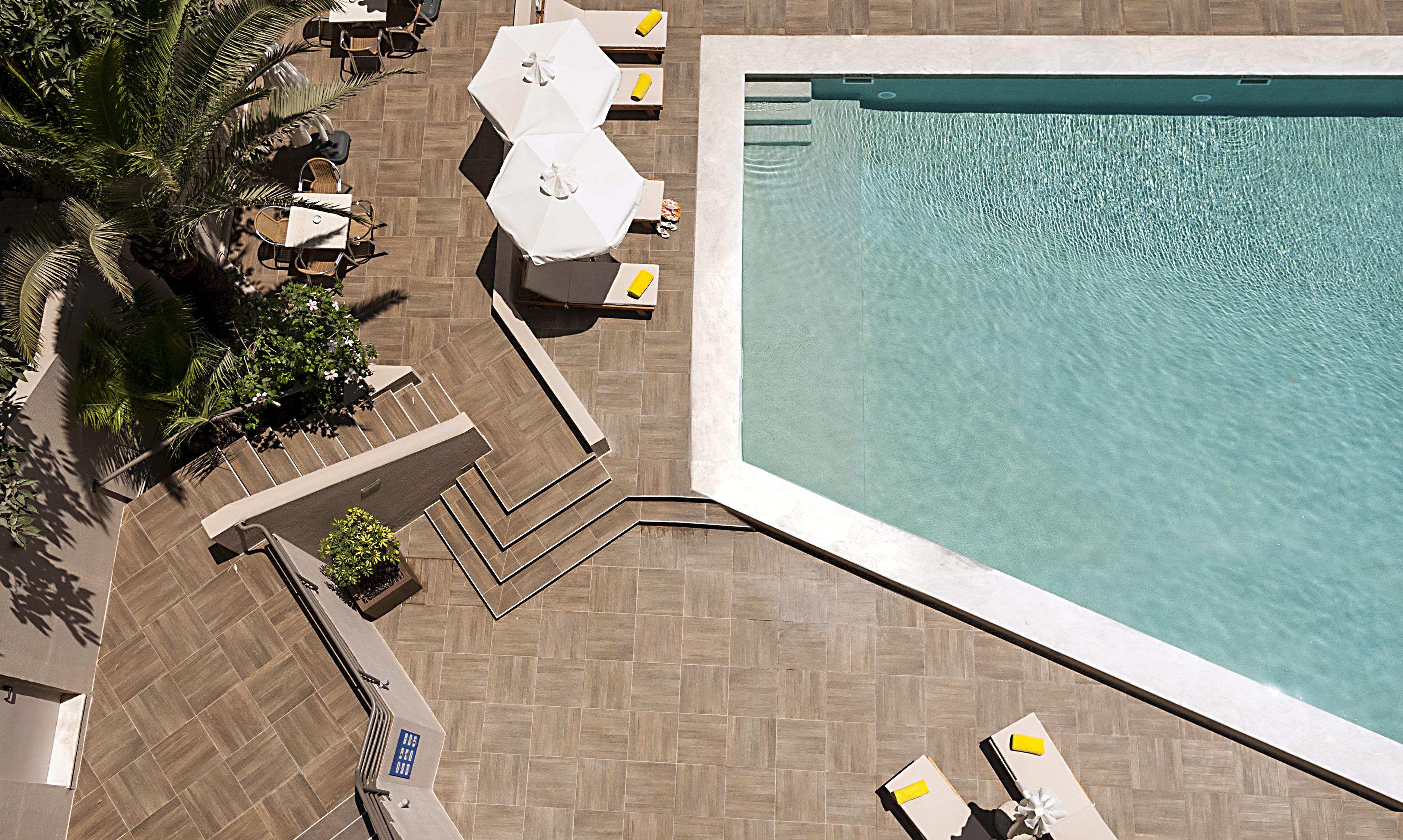 A rooftop pool area with lounge chairs and umbrellas, surrounded by palm trees and a tiled deck.