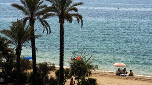 A beach with palm trees, a sandy shore, and a calm sea.