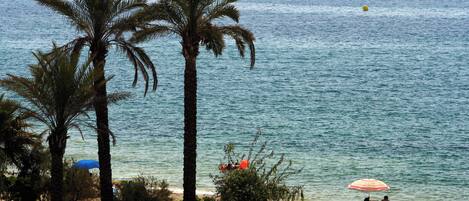 A beach with palm trees, a sandy shore, and a calm sea.