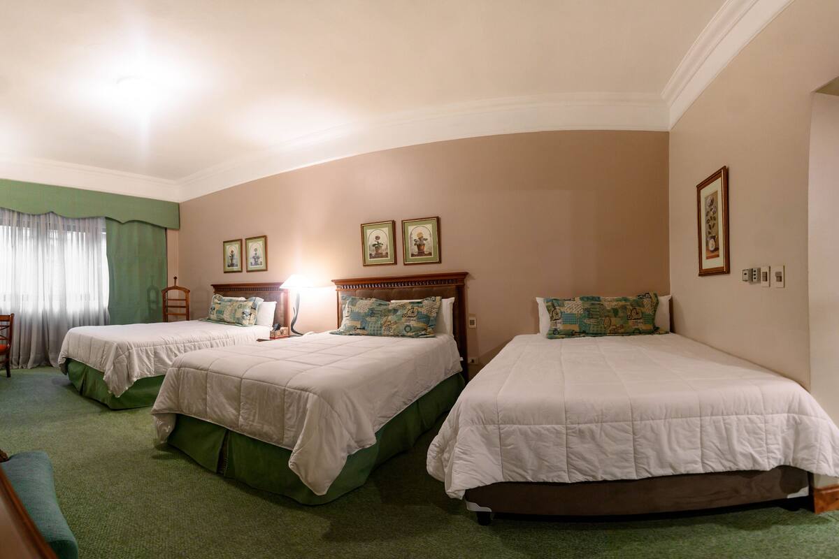 A hotel room with two beds, a green carpet, and a painting on the wall.