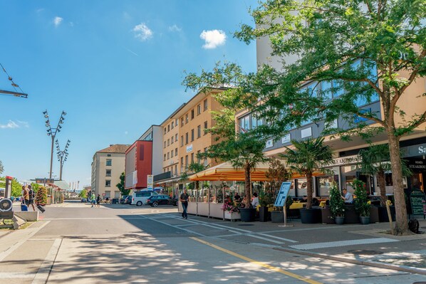 テラス / パティオ