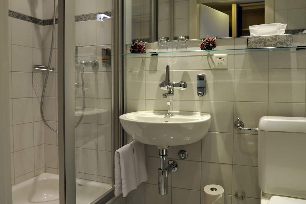 shower, free toiletries, hair dryer, towels