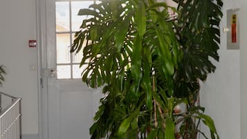 Basic egyágyas szoba | Lanai