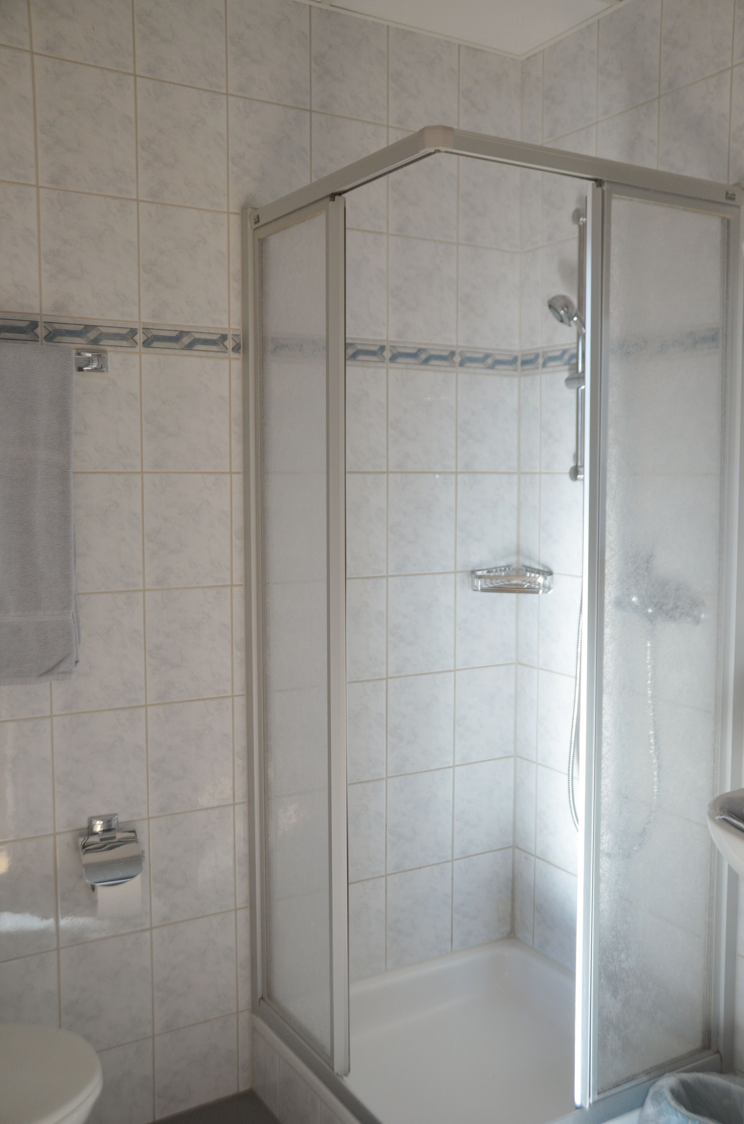 A bathroom with a glass-enclosed shower, a toilet, and a towel rack.