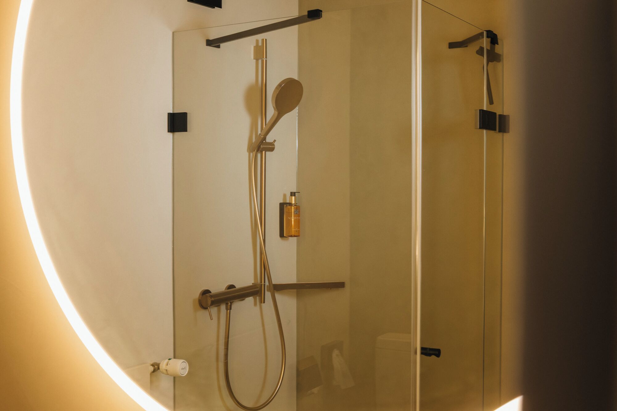 Une douche moderne équipée d’un pommeau de douche à main, d’une brosse à main et d’un distributeur de savon mural.