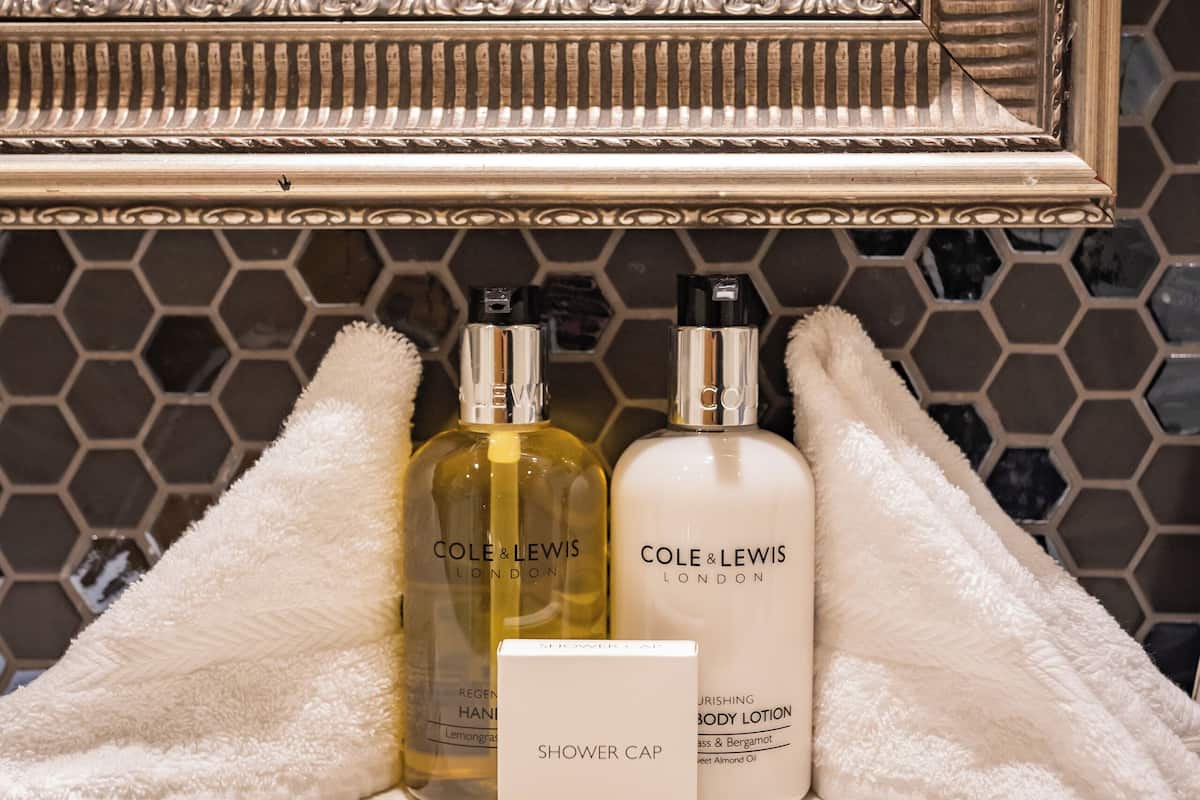 combined shower/bathtub, free toiletries, hair dryer, towels