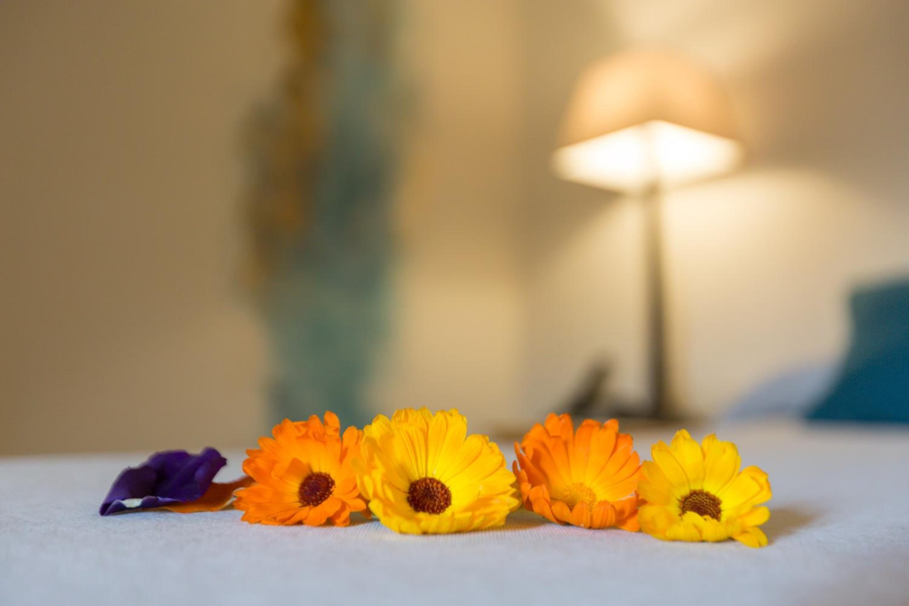 Photo - Hotel del Teatre - Adults Only