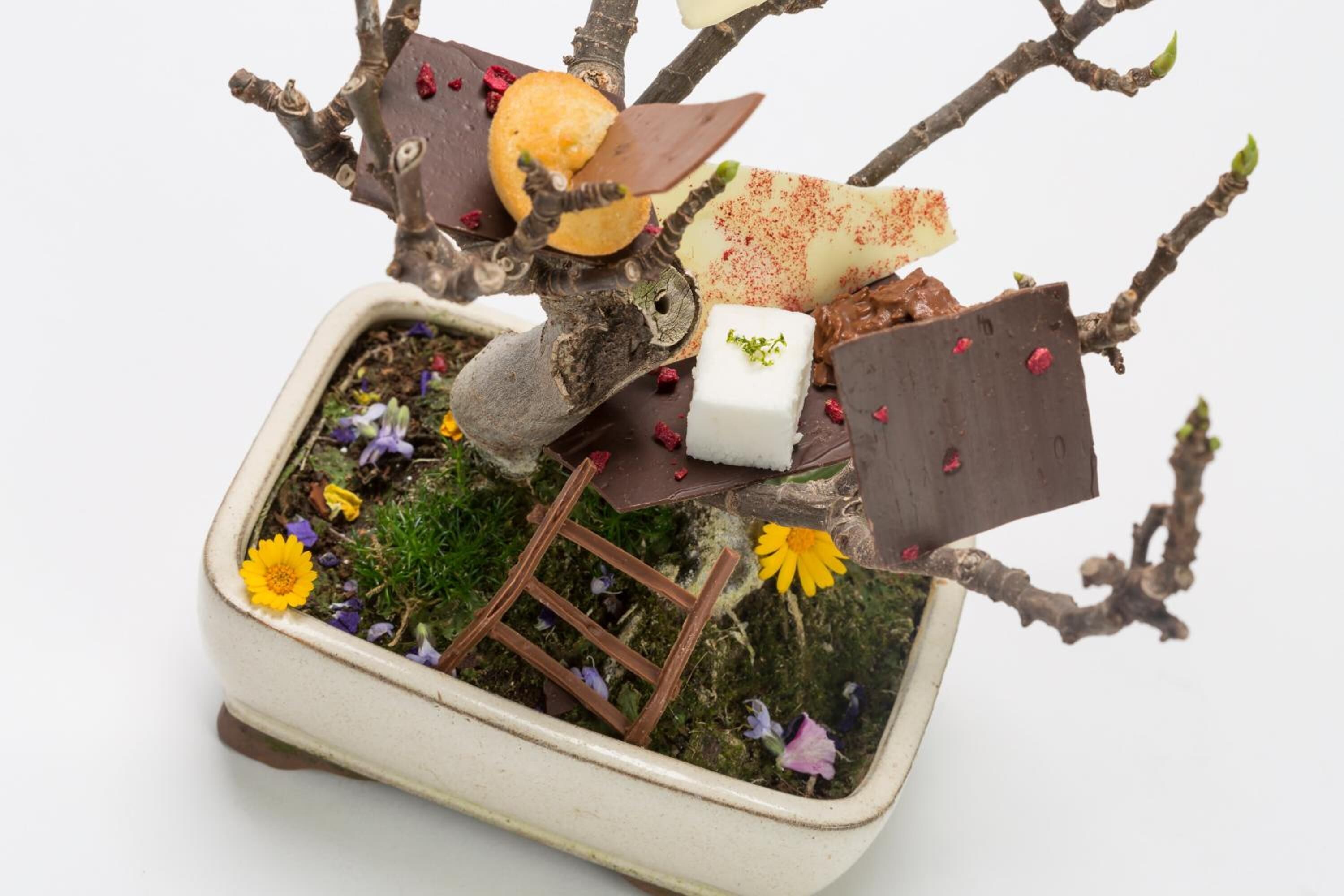 A miniature garden scene with a small tree, flowers, and chocolate pieces arranged on branches.
