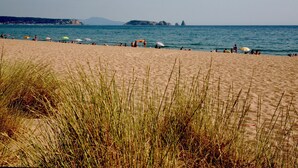 Une plage où l’on voit des gens se prélasser au soleil et nager, avec des dunes herbeuses au premier plan.