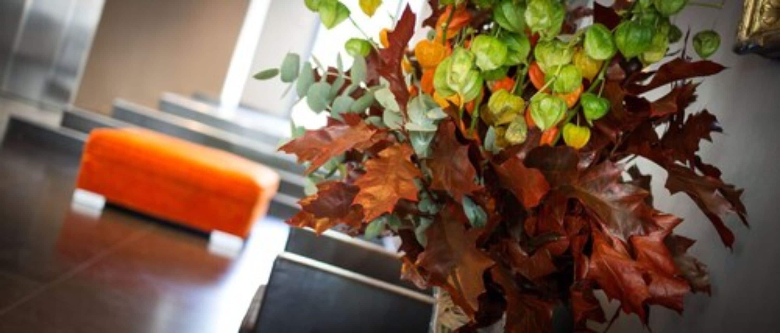 Photo - Hotel De France