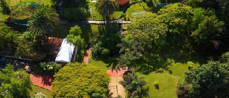 Vista aérea de un parque con senderos, un pequeño estanque y varios árboles.