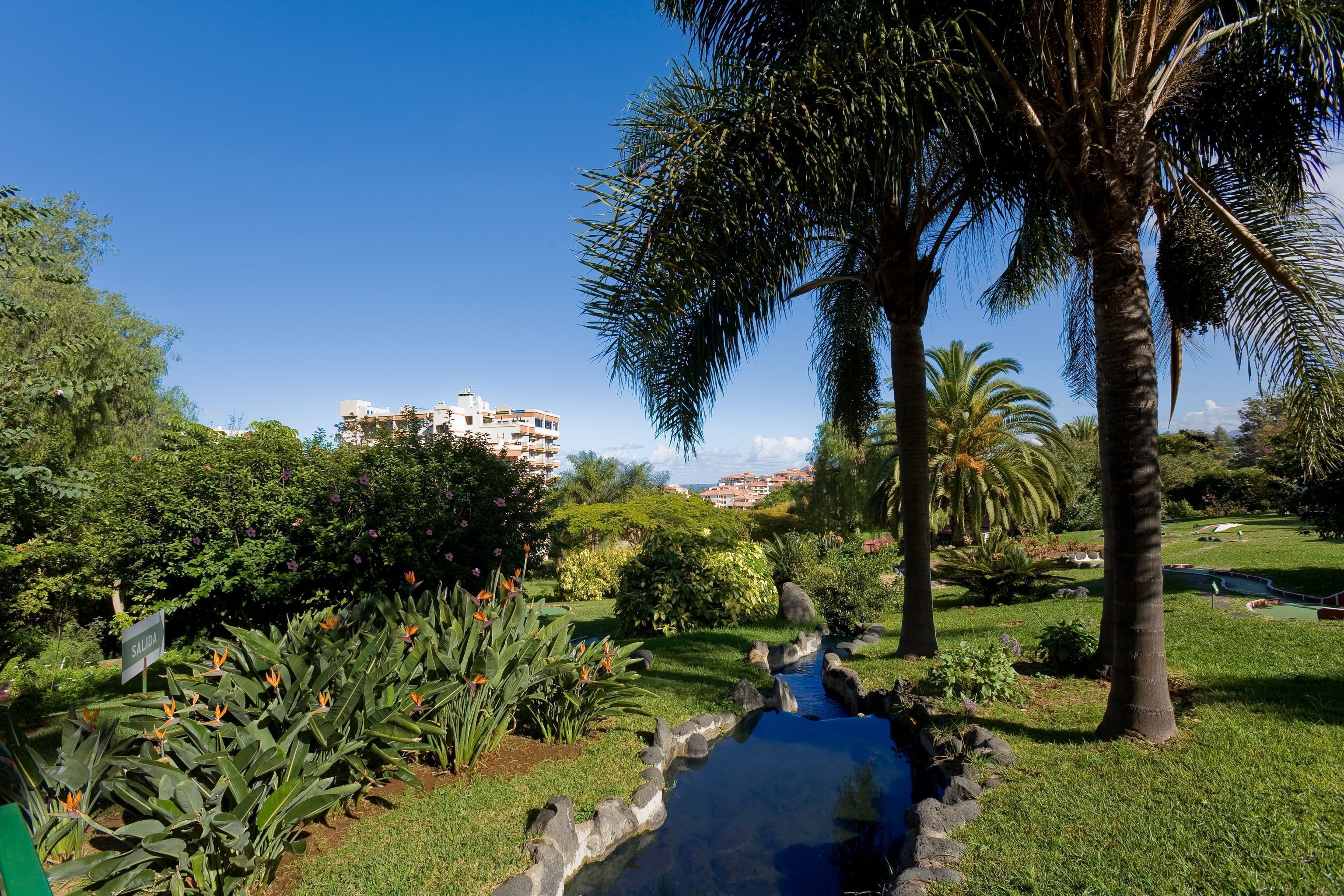 A garden with a water feature, palm trees, and a sign labeled "SALIDA".