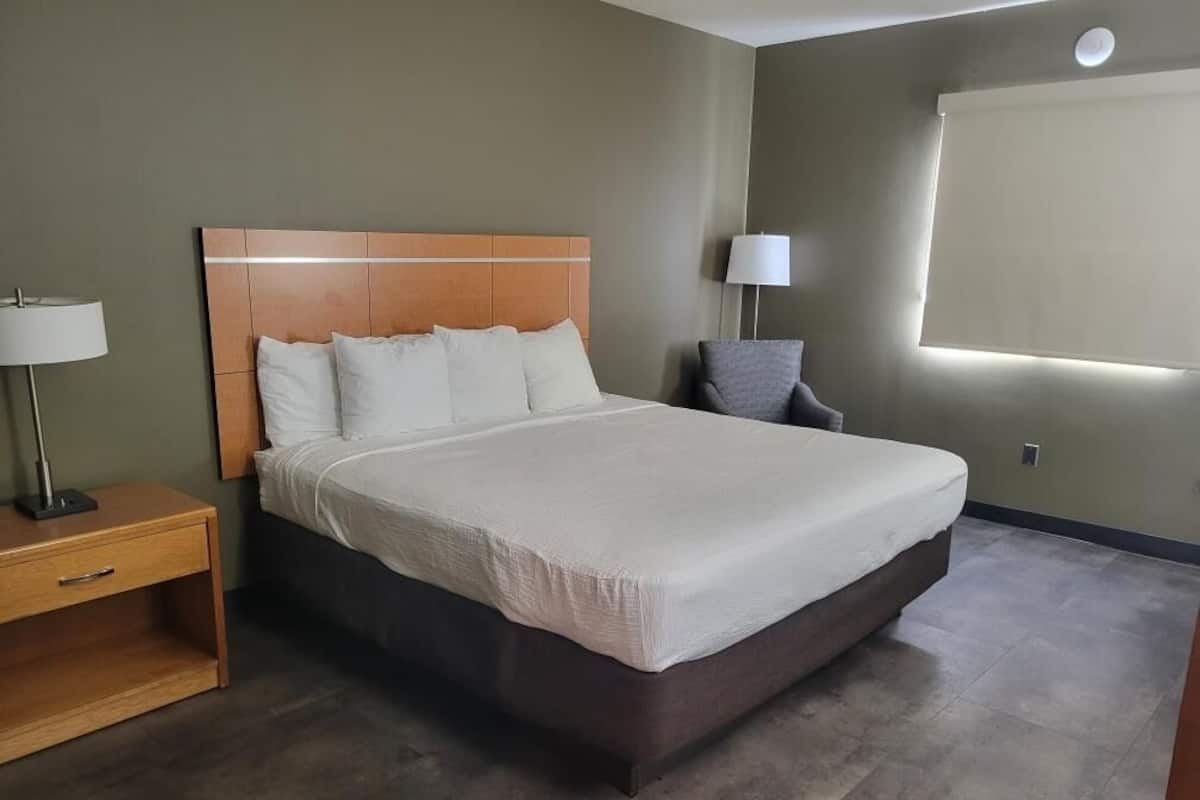 A modern hotel room with a large bed, a nightstand, a chair, and a lamp.