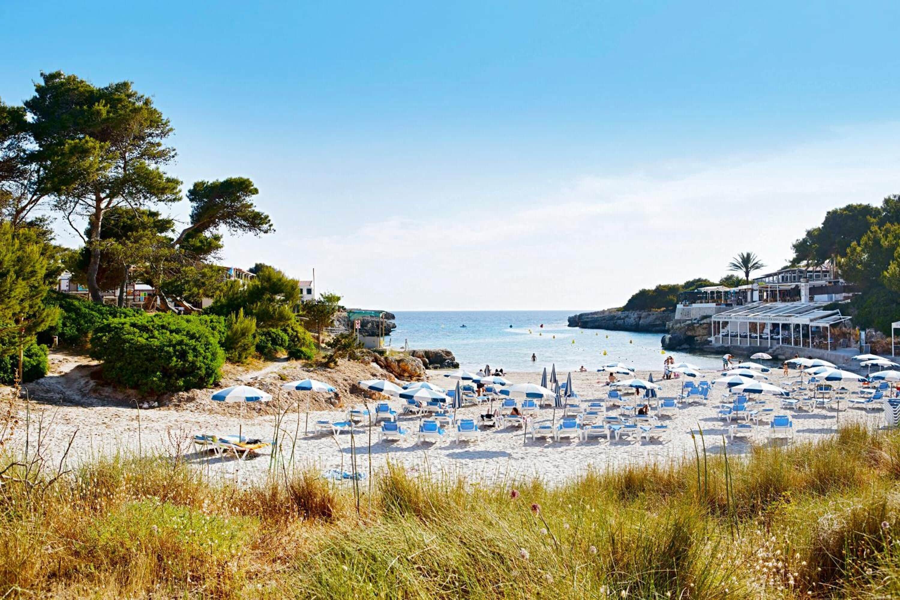 Una spiaggia nelle vicinanze