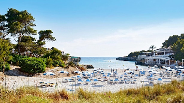 A beach with numerous sun loungers and umbrellas, a clear sky, and buildings on the shore.