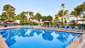 A swimming pool with blue chairs and palm trees in the background.