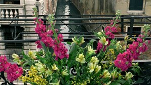 Un balcón con un arreglo floral y vistas a un canal estrecho flanqueado por edificios.