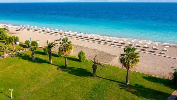 Une plage avec des parasols et des palmiers.
