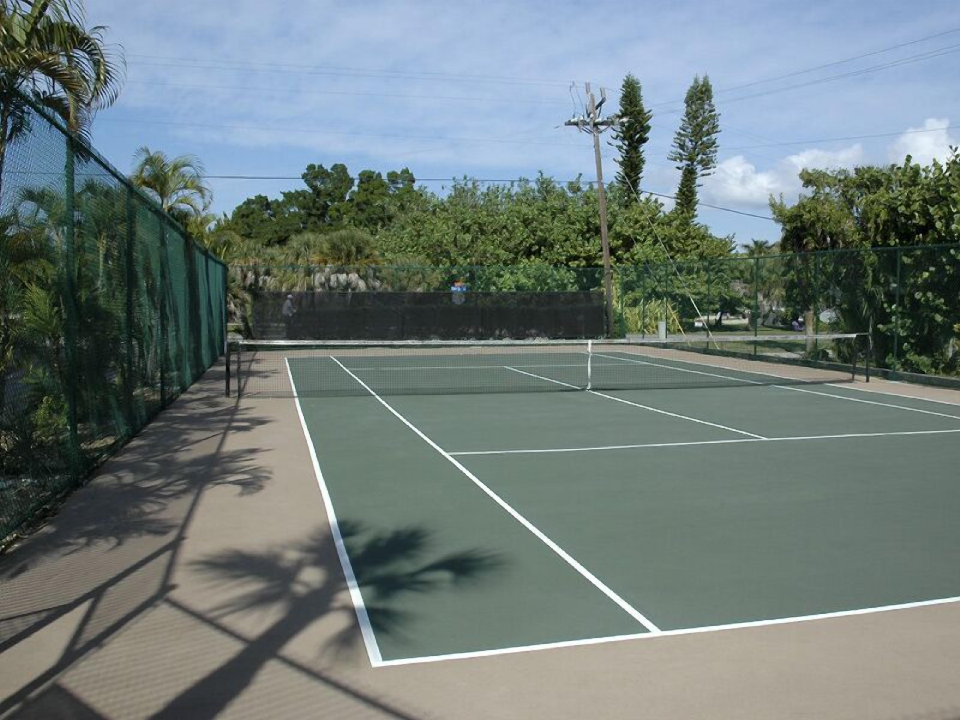 Un court de tennis extérieur doté d’une surface verte, entouré d’une clôture et d’arbres.