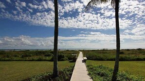 A wooden boardwalk leading through a natural landscape with palm trees and a clear sky.