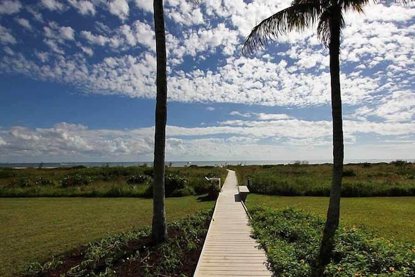 A wooden boardwalk leading through a natural landscape with palm trees and a clear sky.