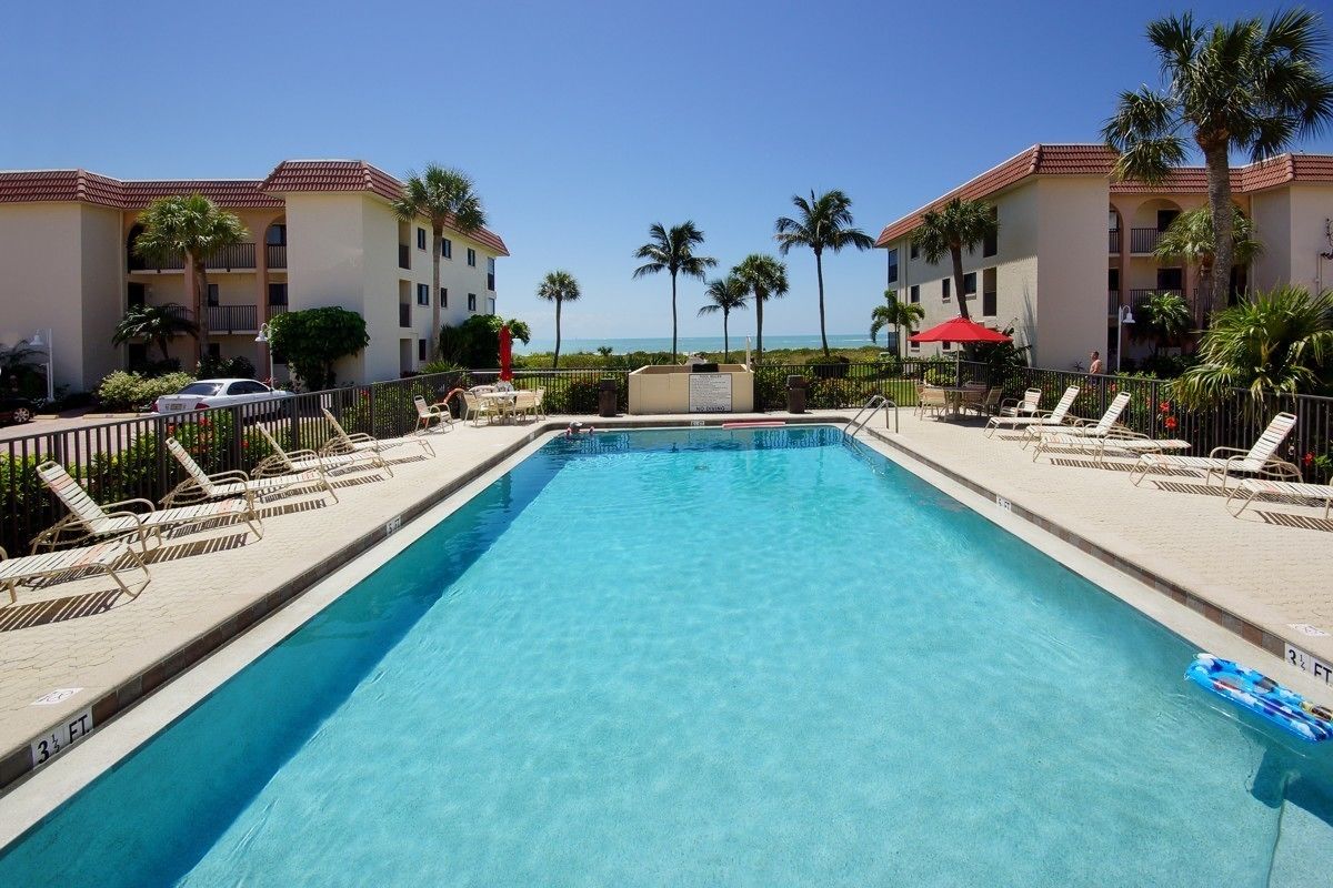 A rectangular pool with clear blue water, surrounded by lounge chairs and palm trees.