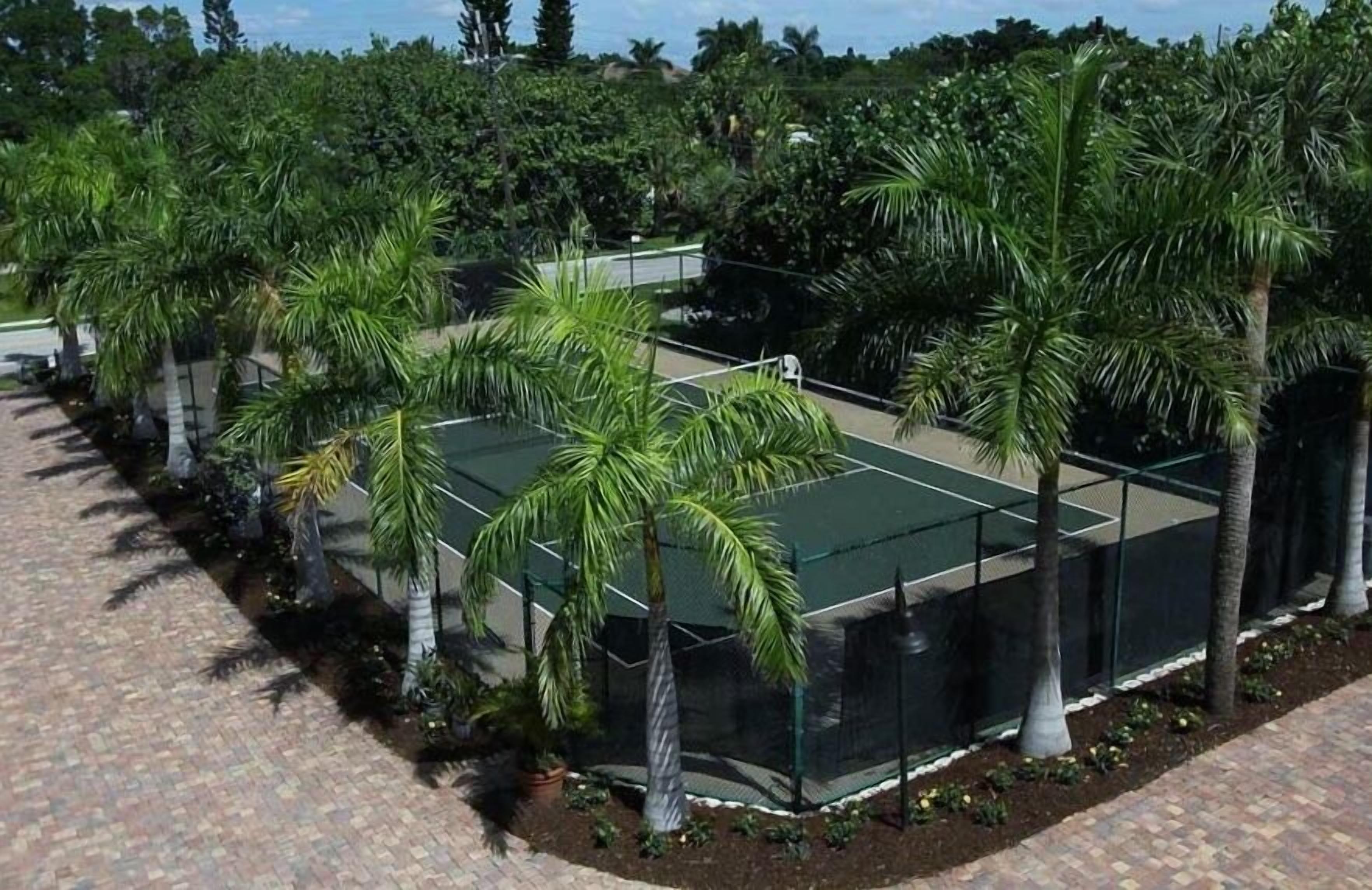 A tennis court surrounded by palm trees and greenery.