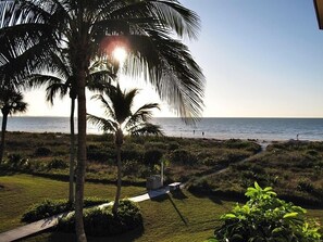 A beach view with palm trees and a pathway leading to the water. - Sandalfoot Beachfront Condominium (Sanibel)