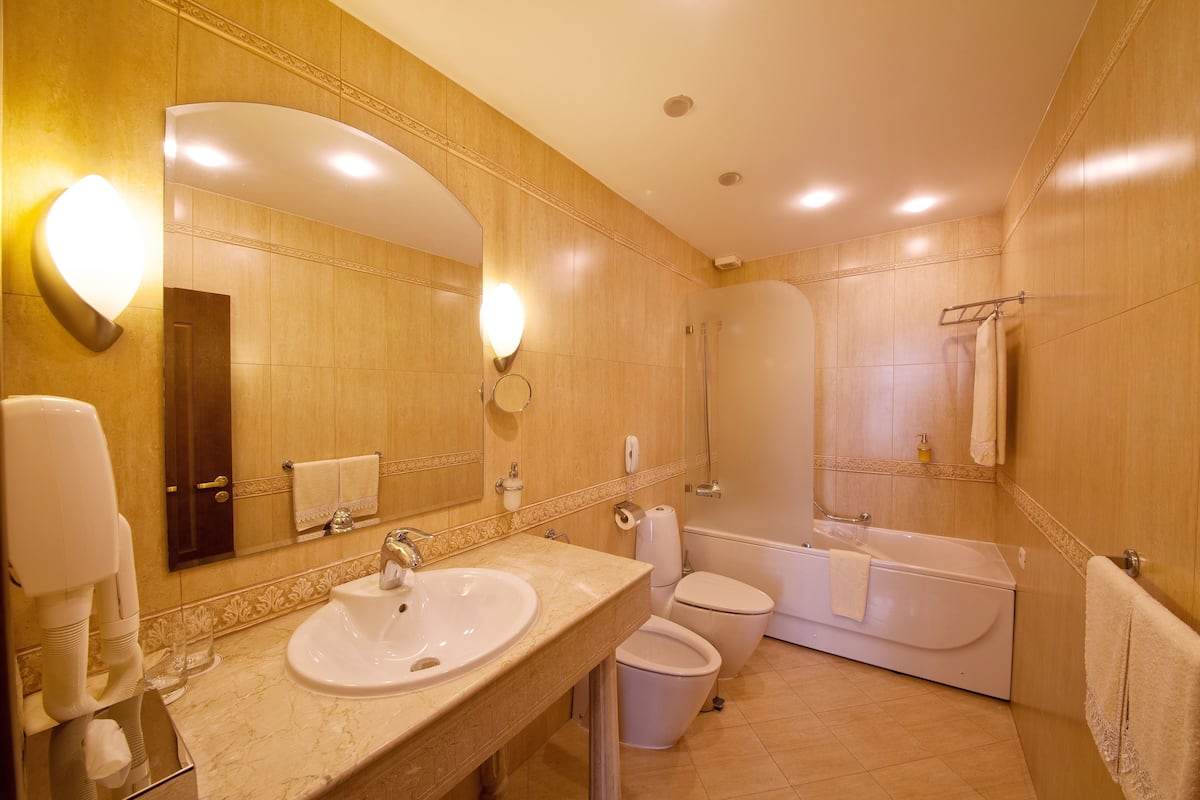 combined shower/bathtub, free toiletries, hair dryer, bathrobes