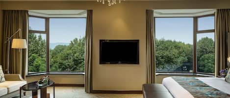1 habitación, ropa de cama de alta calidad, edredón y minibar